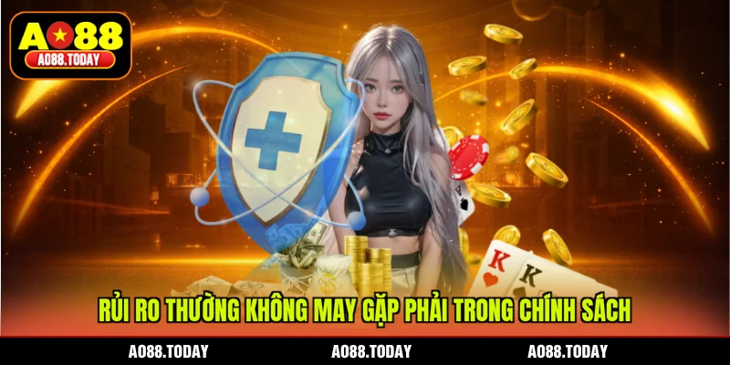 Rủi ro thường không may gặp phải trong chính sách